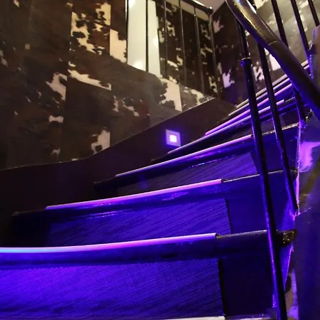 Hostel The Loft Boutique